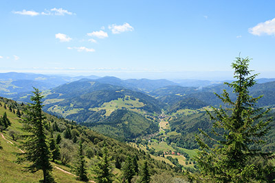 Ausblick vom Belchen